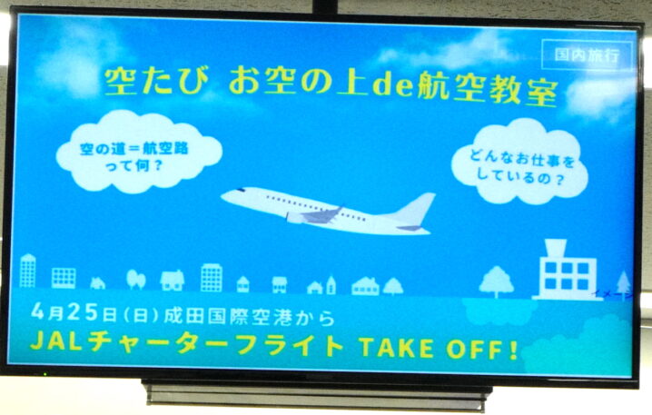 JAL　チャーターフライト