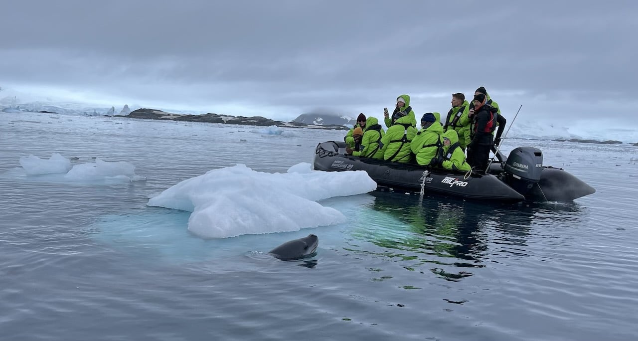 夫婦　世界一周 　南極　クルーズ　上陸