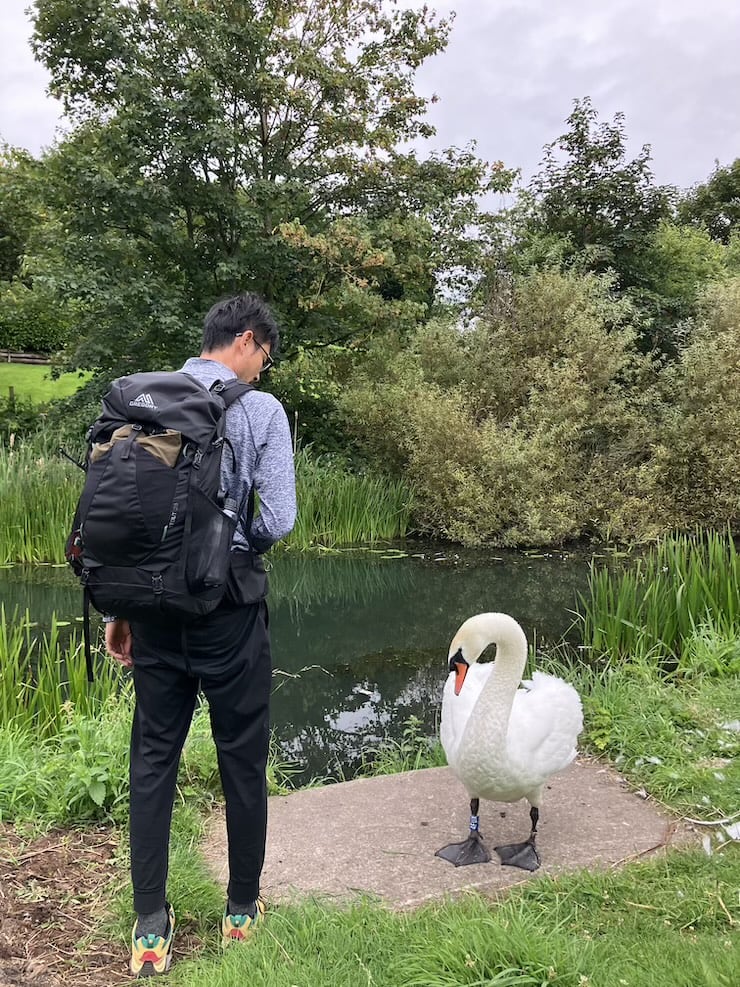 夫婦　世界一周　　イギリス　セント ヘレンズ