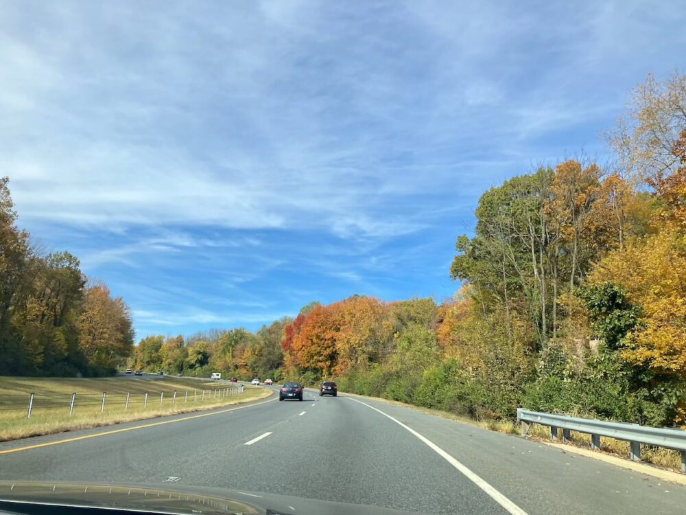 アメリカ ロードトリップ 世界一周 夫婦 旅 バックパッカー  横断