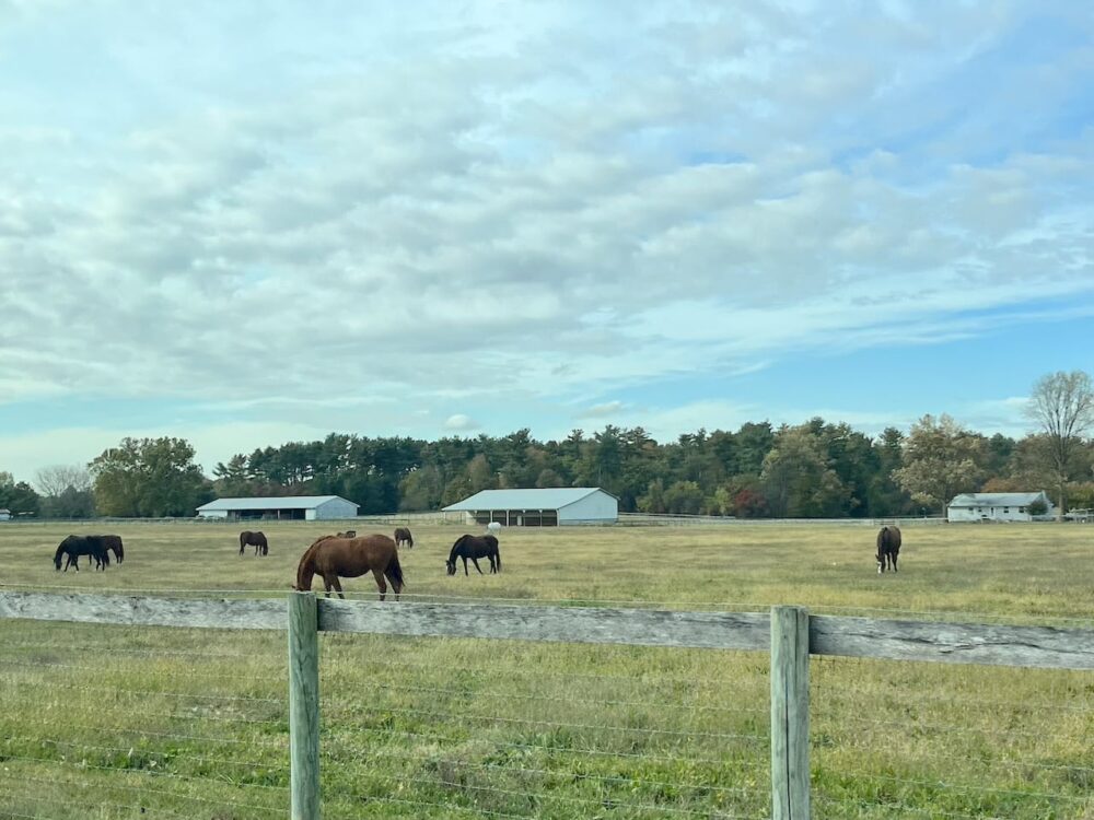 アメリカ ロードトリップ 世界一周 夫婦 旅 バックパッカー  横断