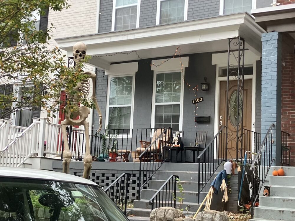 アメリカ ロードトリップ 世界一周 夫婦 旅 バックパッカー  横断