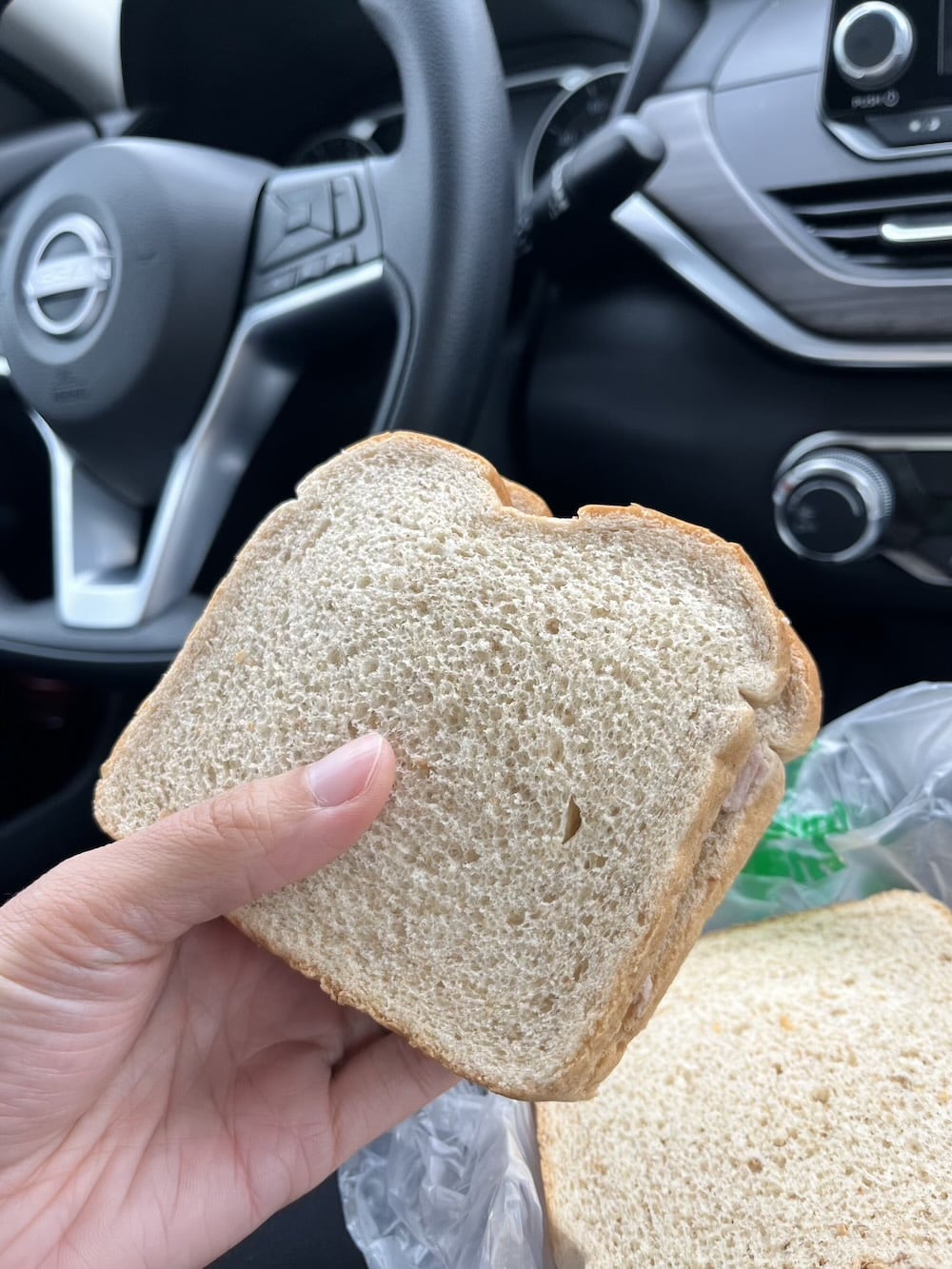 アメリカ ロードトリップ 世界一周 夫婦 旅 バックパッカー  横断