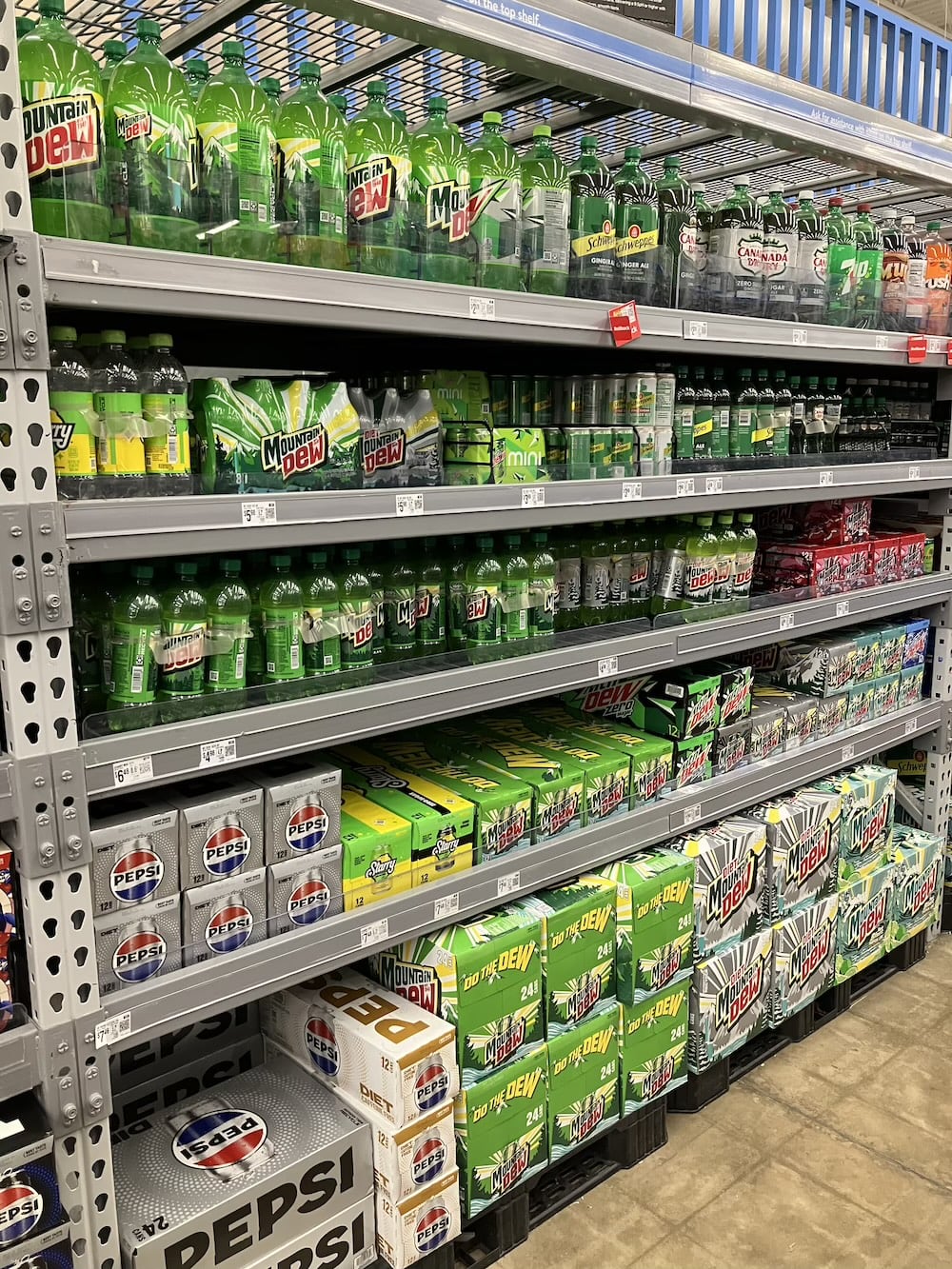 アメリカ ロードトリップ 世界一周 夫婦 旅 バックパッカー  横断