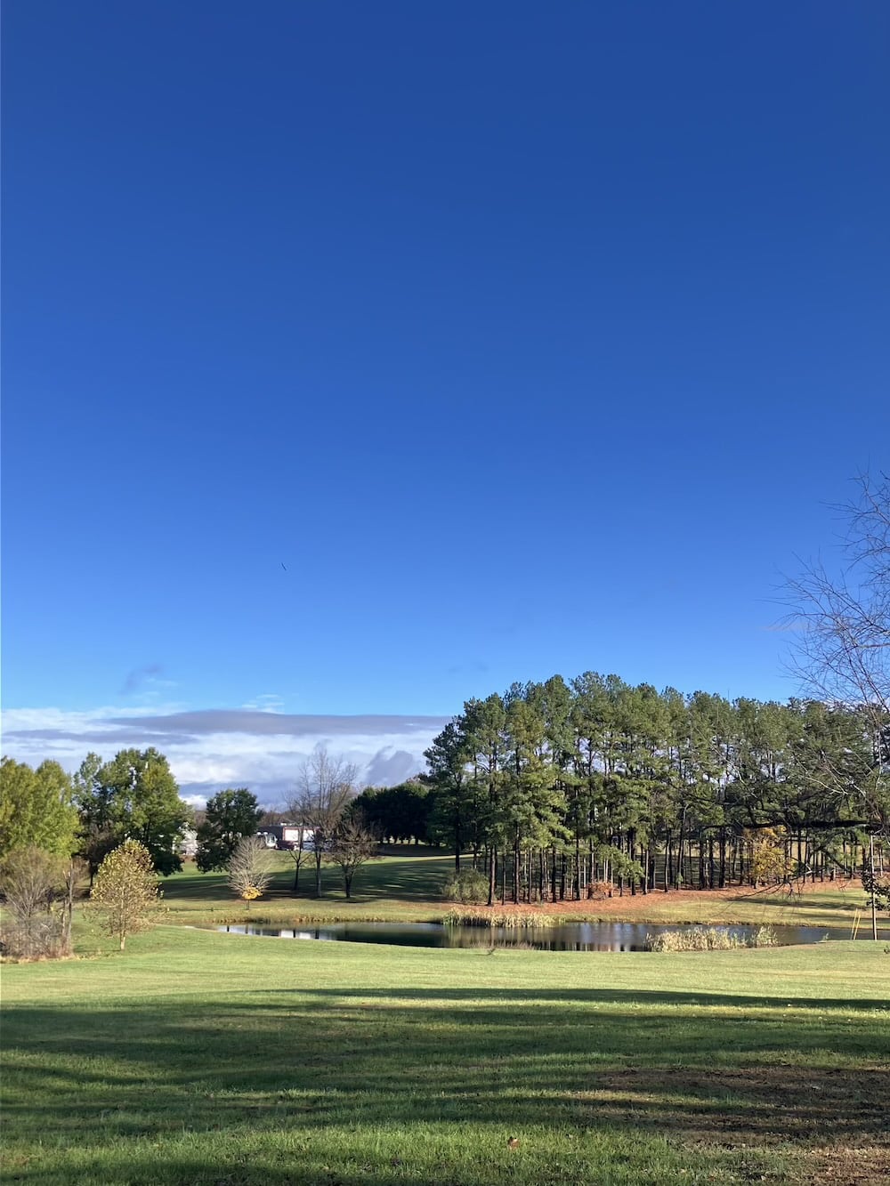 アメリカ ロードトリップ 世界一周 夫婦 旅 バックパッカー  横断