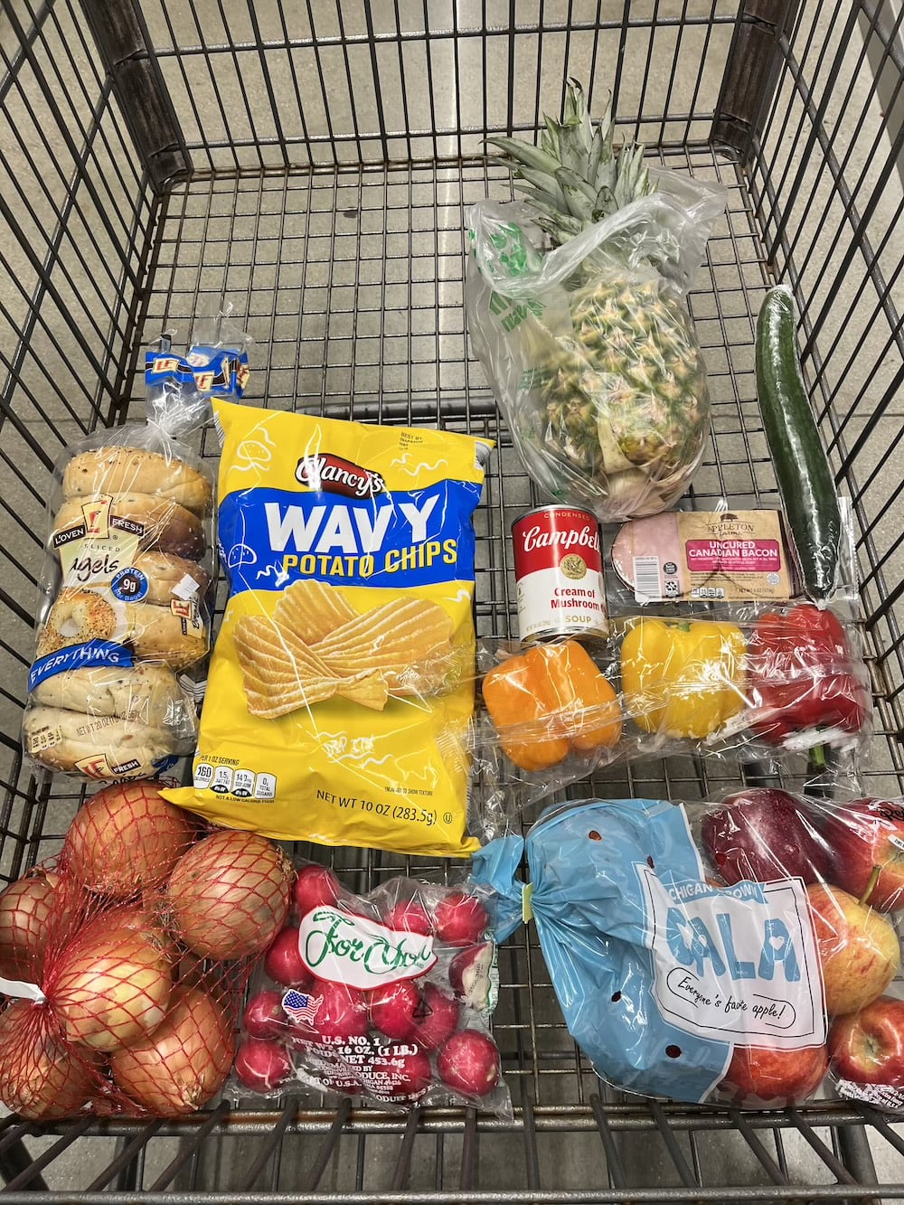 アメリカ　ロードトリップ　世界一周　夫婦　旅　バックパッカー　　横断