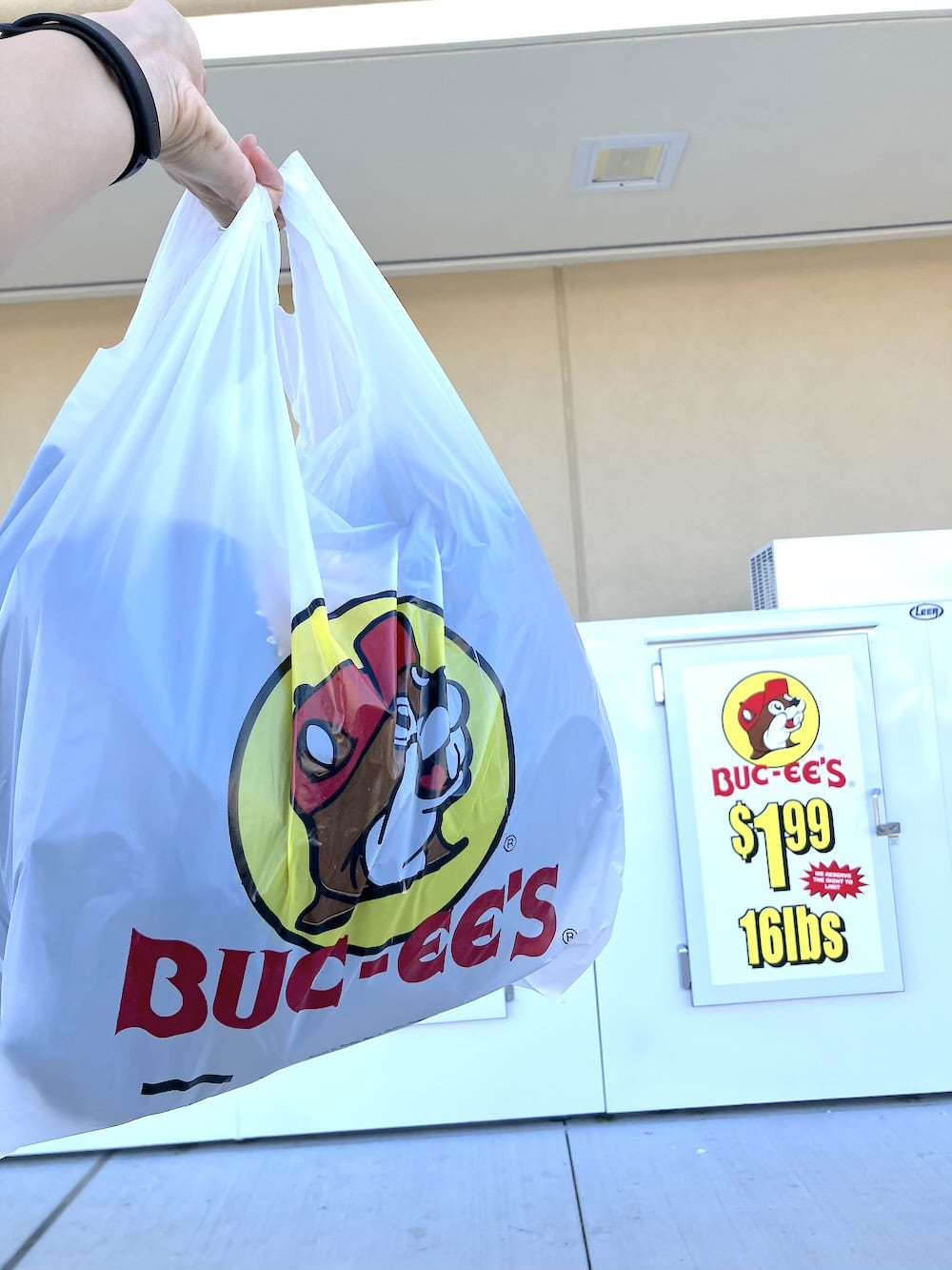 アメリカ　ロードトリップ　世界一周　夫婦　旅　バックパッカー　　横断