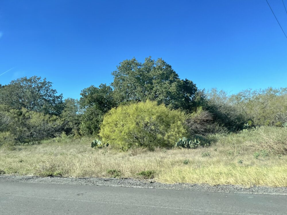 アメリカ　ロードトリップ　世界一周　夫婦　旅　バックパッカー　　横断