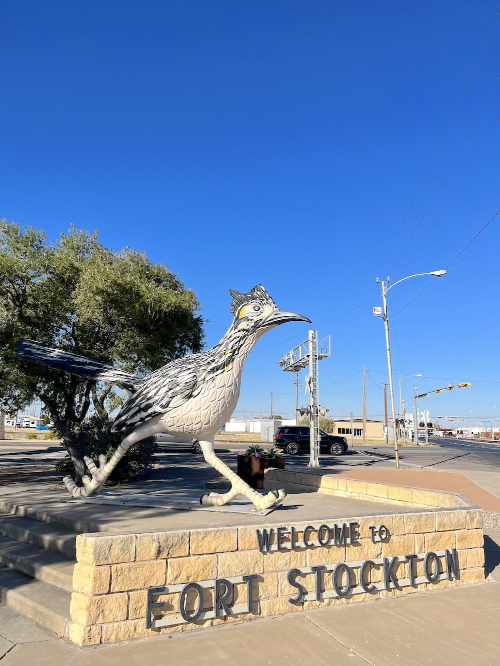 アメリカ　ロードトリップ　世界一周　夫婦　旅　バックパッカー　　横断