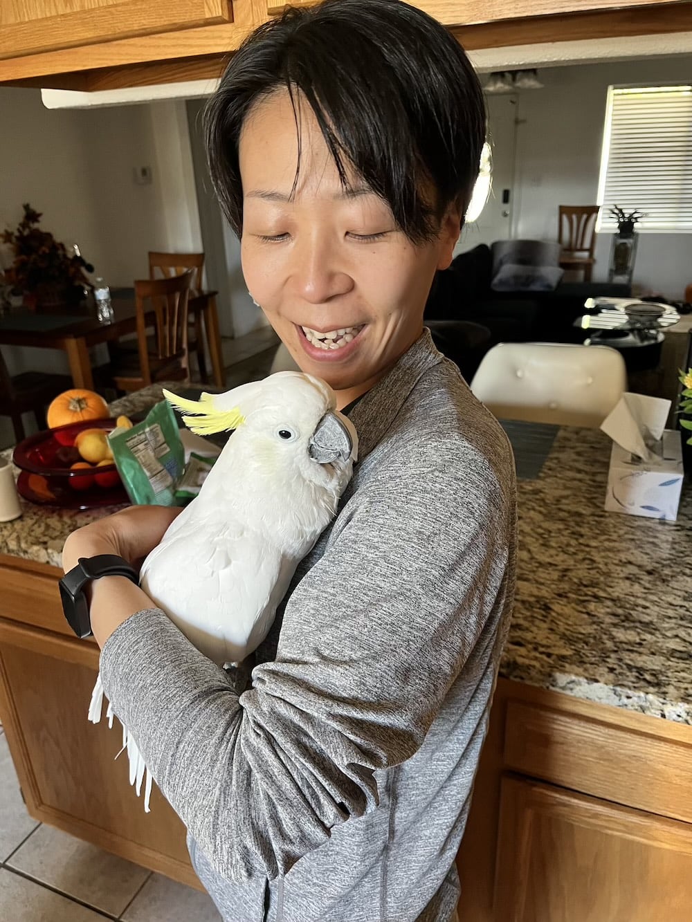 アメリカ　ロードトリップ　世界一周　夫婦　旅　バックパッカー　　横断