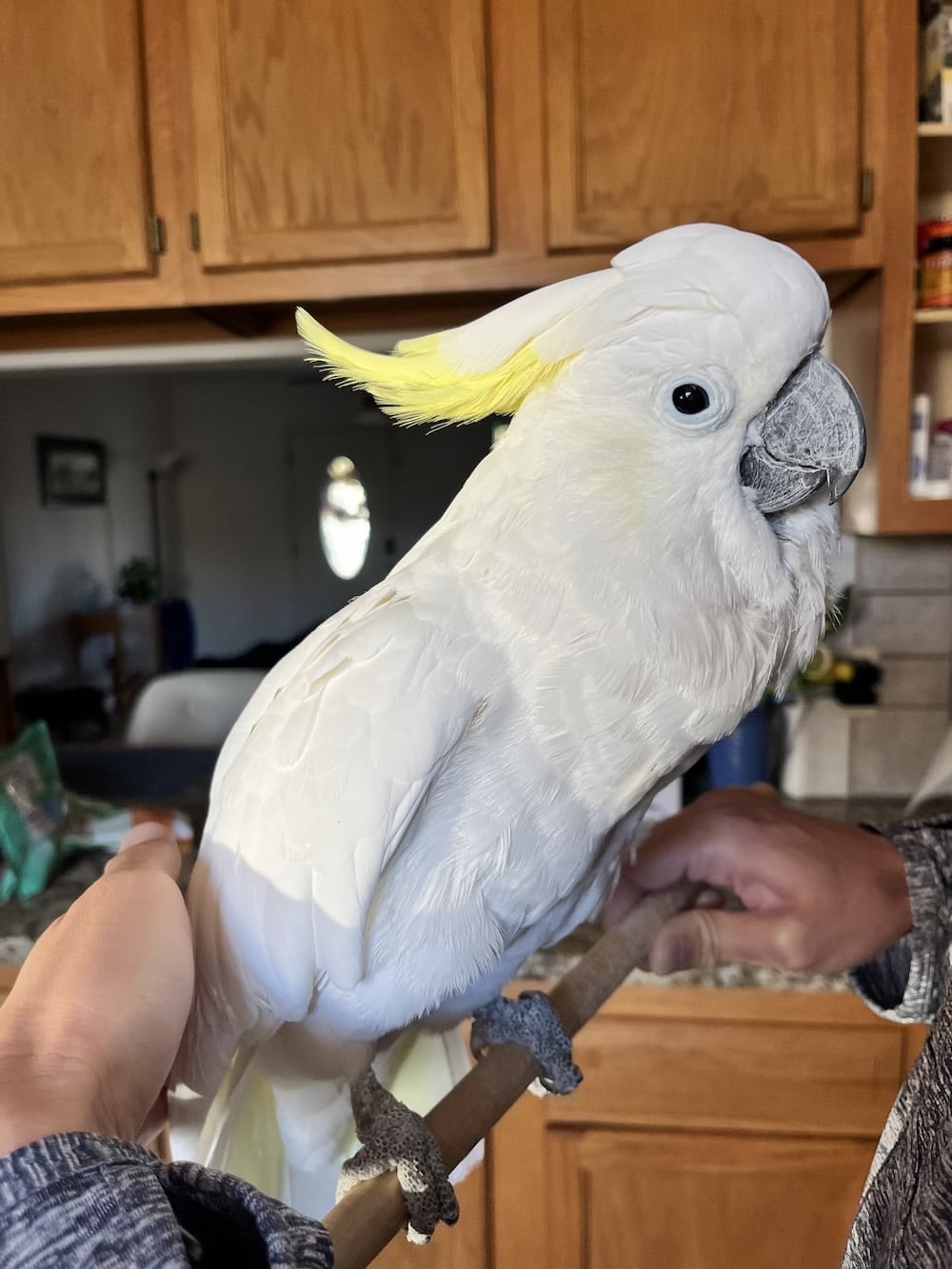 アメリカ　ロードトリップ　世界一周　夫婦　旅　バックパッカー　　横断