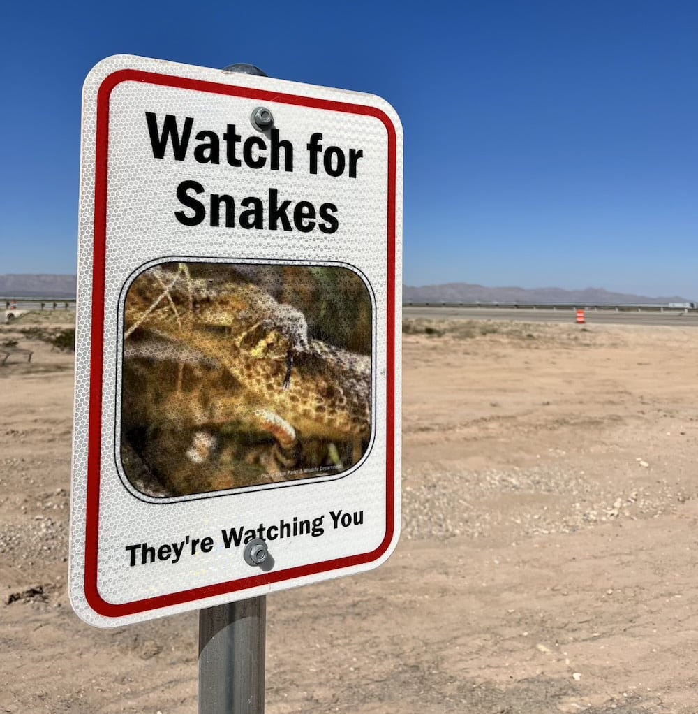 アメリカ　ロードトリップ　世界一周　夫婦　旅　バックパッカー　　横断