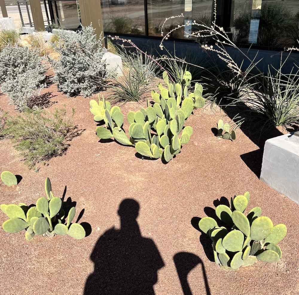 アメリカ　ロードトリップ　世界一周　夫婦　旅　バックパッカー　　横断