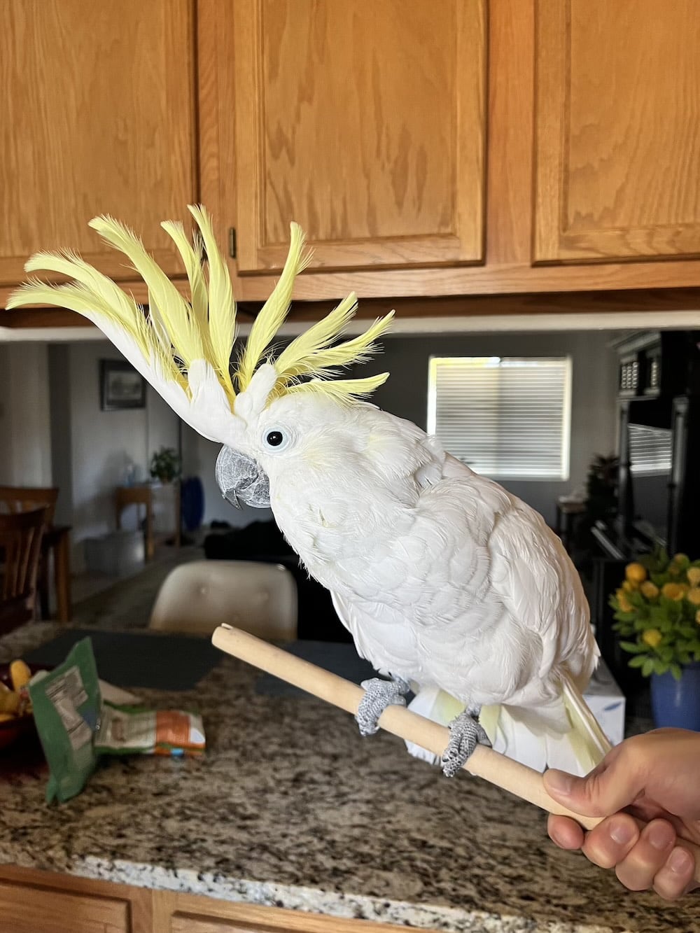 アメリカ　ロードトリップ　世界一周　夫婦　旅　バックパッカー　　横断