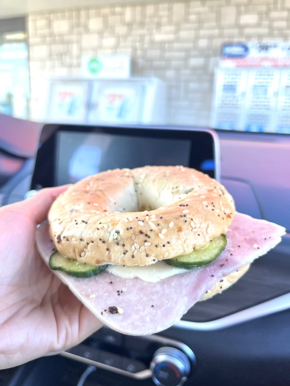 アメリカ　ロードトリップ　世界一周　夫婦　旅　バックパッカー　　横断