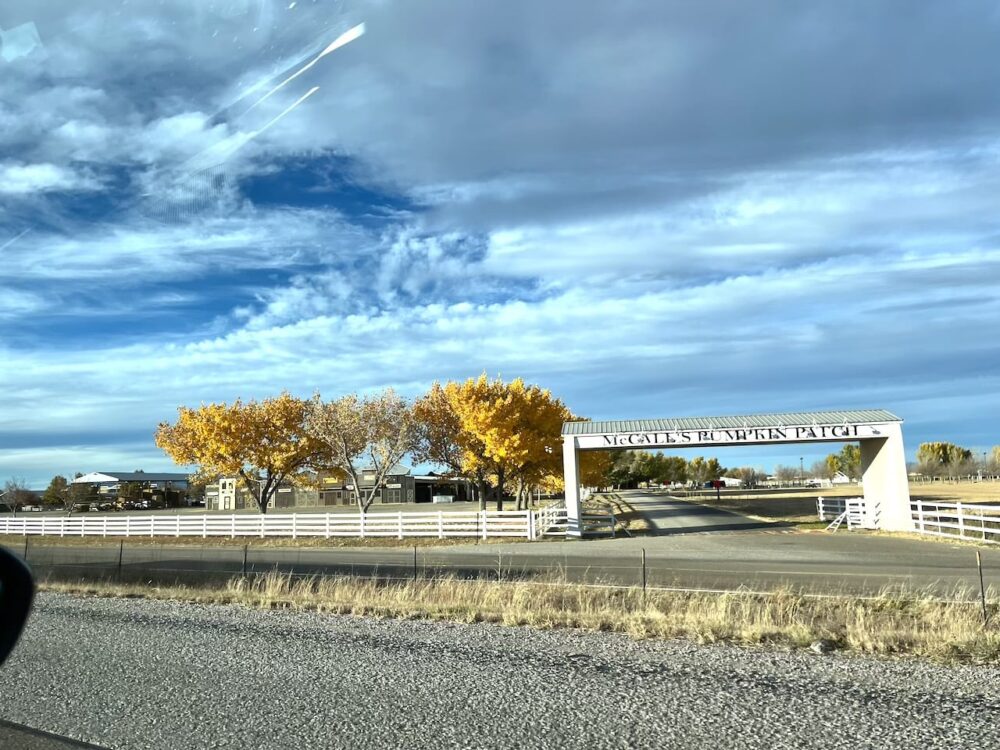 アメリカ　ロードトリップ　世界一周　夫婦　旅　バックパッカー　　横断