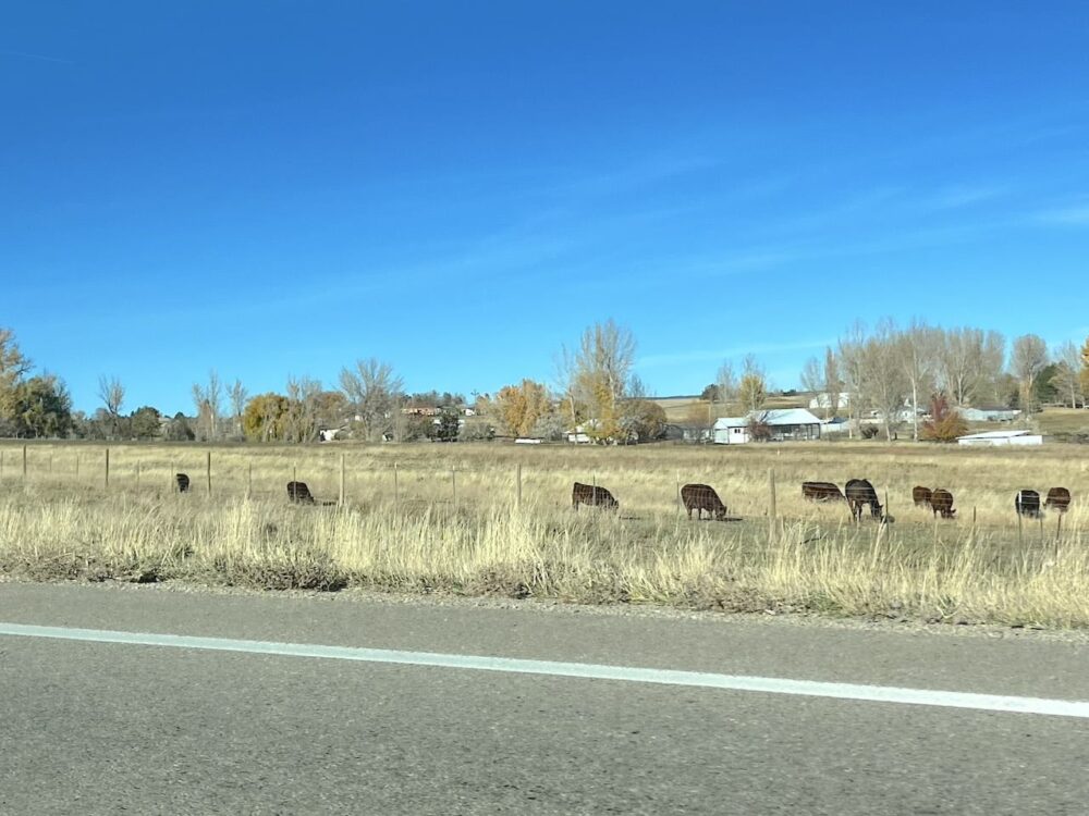 アメリカ　ロードトリップ　世界一周　夫婦　旅　バックパッカー　　横断