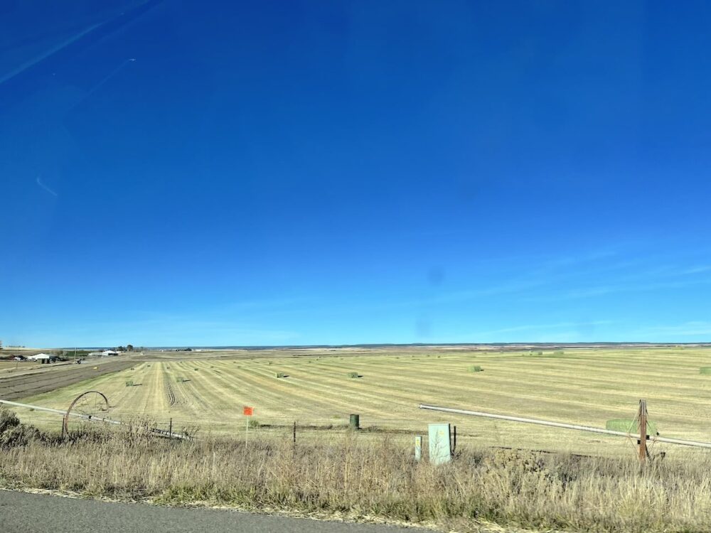 アメリカ　ロードトリップ　世界一周　夫婦　旅　バックパッカー　　横断