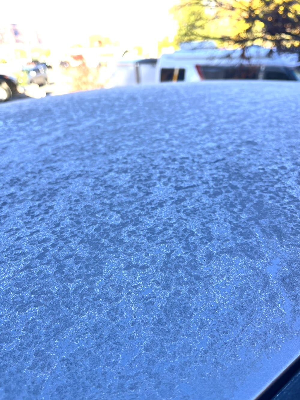 アメリカ　ロードトリップ　世界一周　夫婦　旅　バックパッカー　　横断