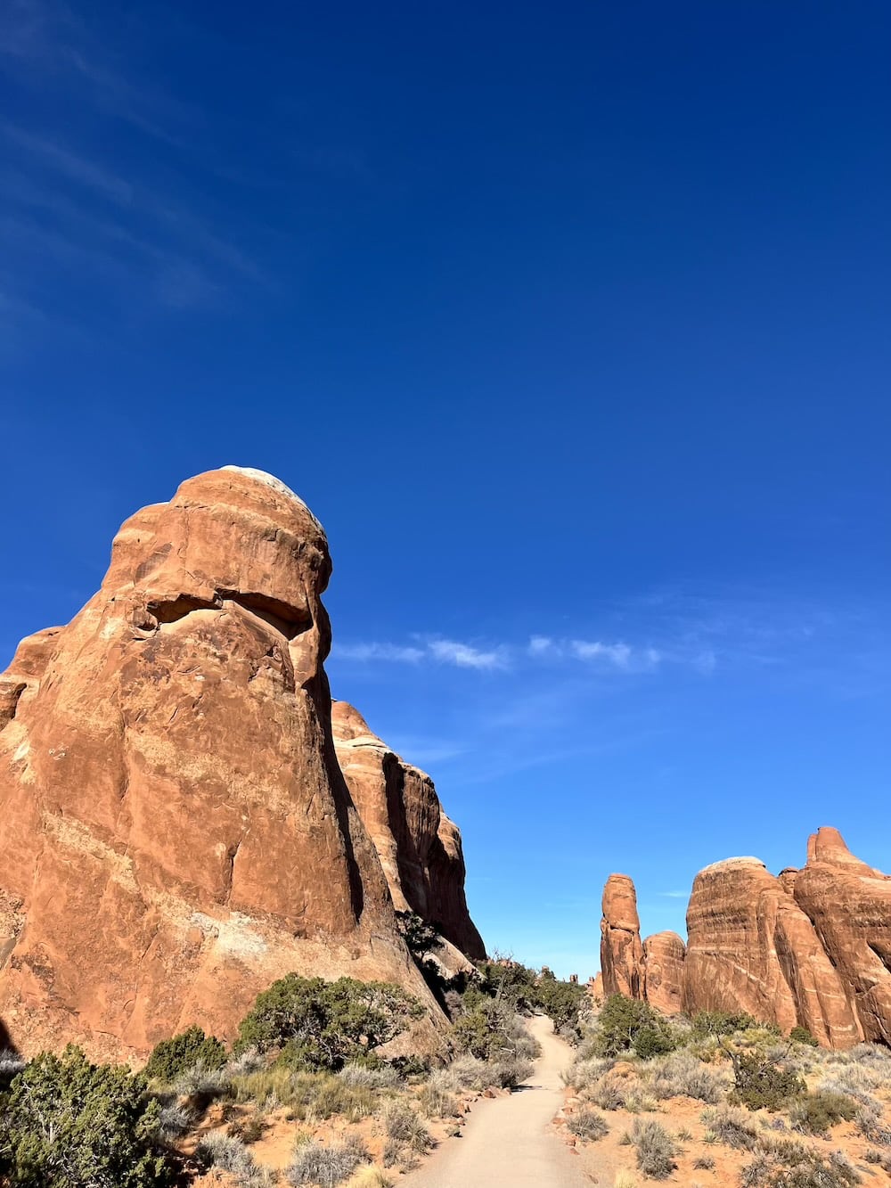 アメリカ　ロードトリップ　世界一周　夫婦　旅　バックパッカー　　横断