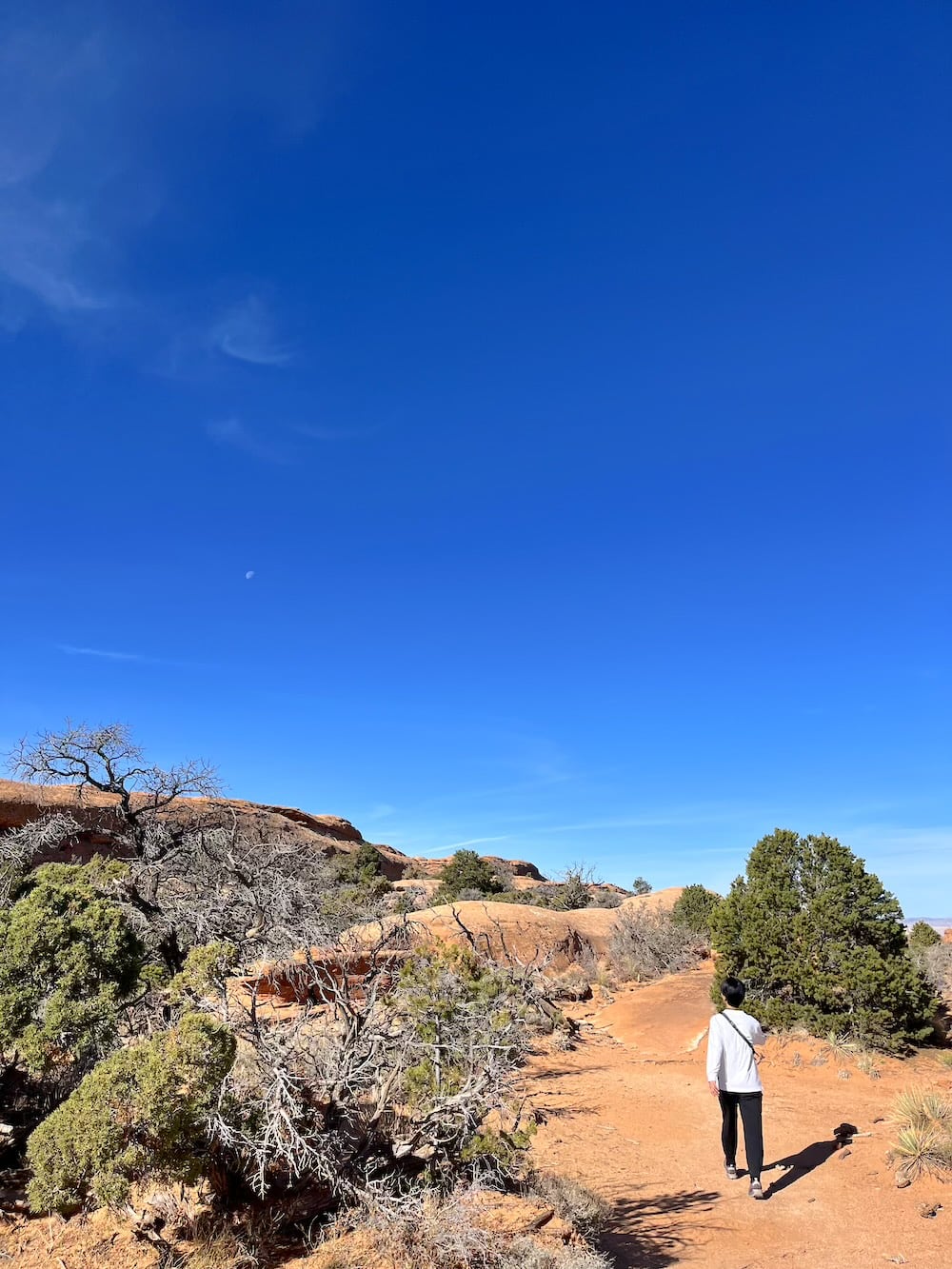 アメリカ　ロードトリップ　世界一周　夫婦　旅　バックパッカー　　横断