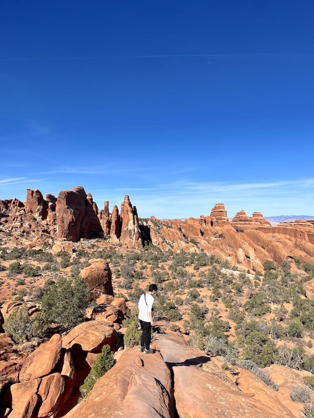 アメリカ　ロードトリップ　世界一周　夫婦　旅　バックパッカー　　横断