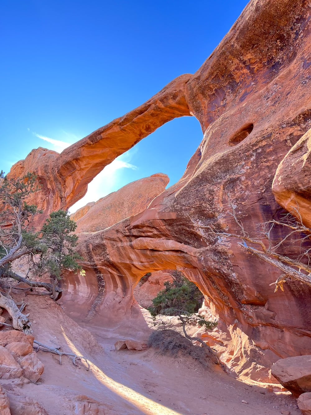 アメリカ　ロードトリップ　世界一周　夫婦　旅　バックパッカー　　横断