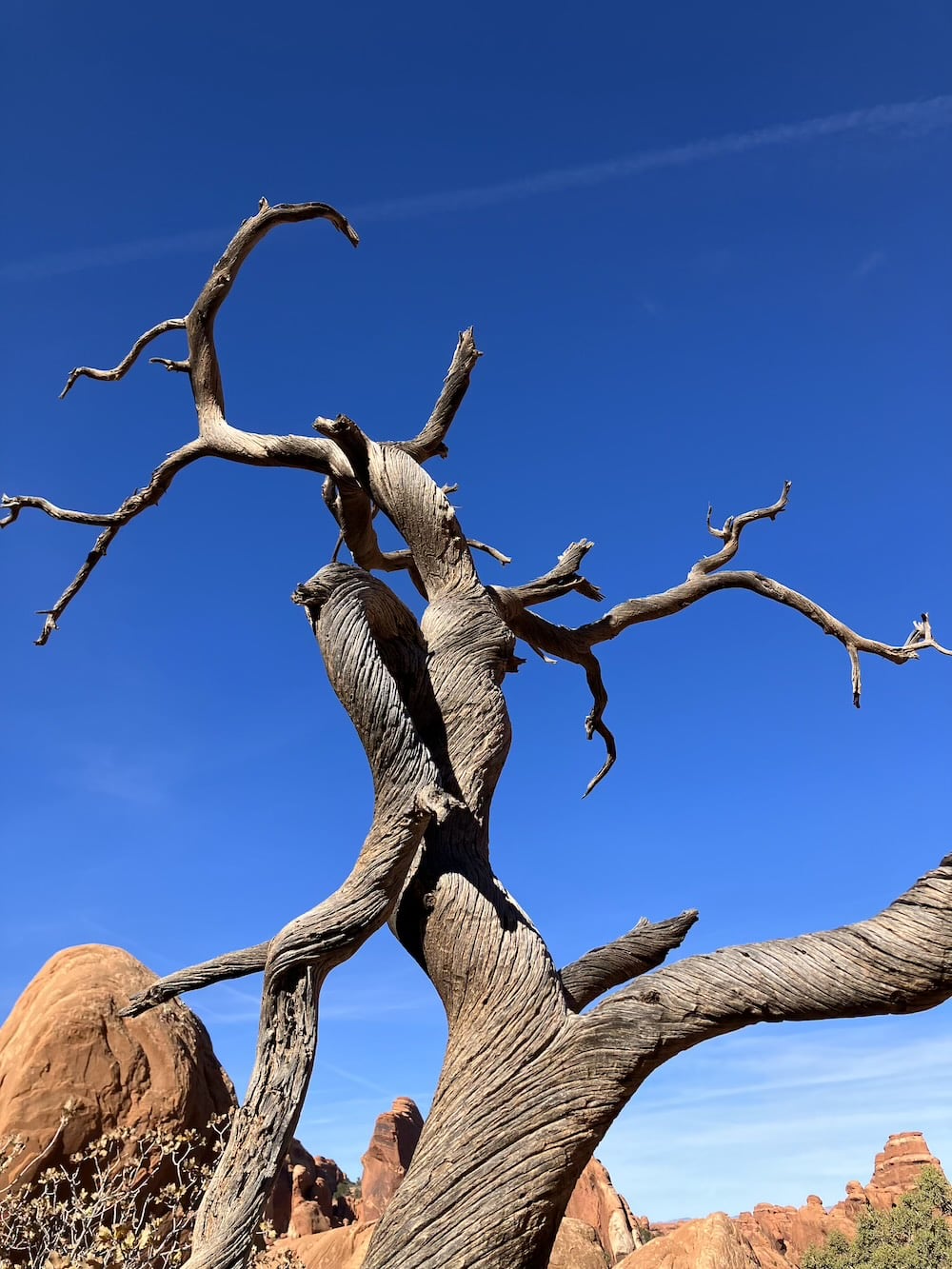 アメリカ　ロードトリップ　世界一周　夫婦　旅　バックパッカー　　横断