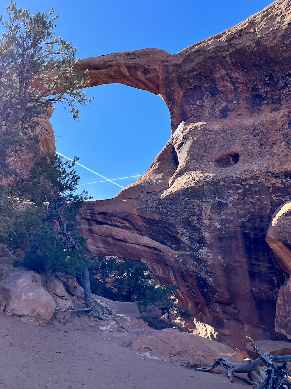 アメリカ　ロードトリップ　世界一周　夫婦　旅　バックパッカー　　横断