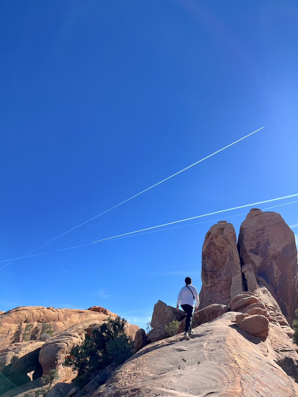 アメリカ　ロードトリップ　世界一周　夫婦　旅　バックパッカー　　横断