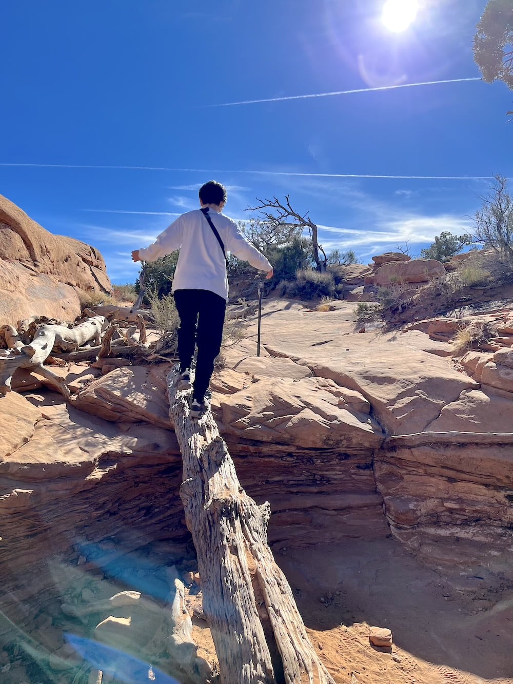 アメリカ　ロードトリップ　世界一周　夫婦　旅　バックパッカー　　横断