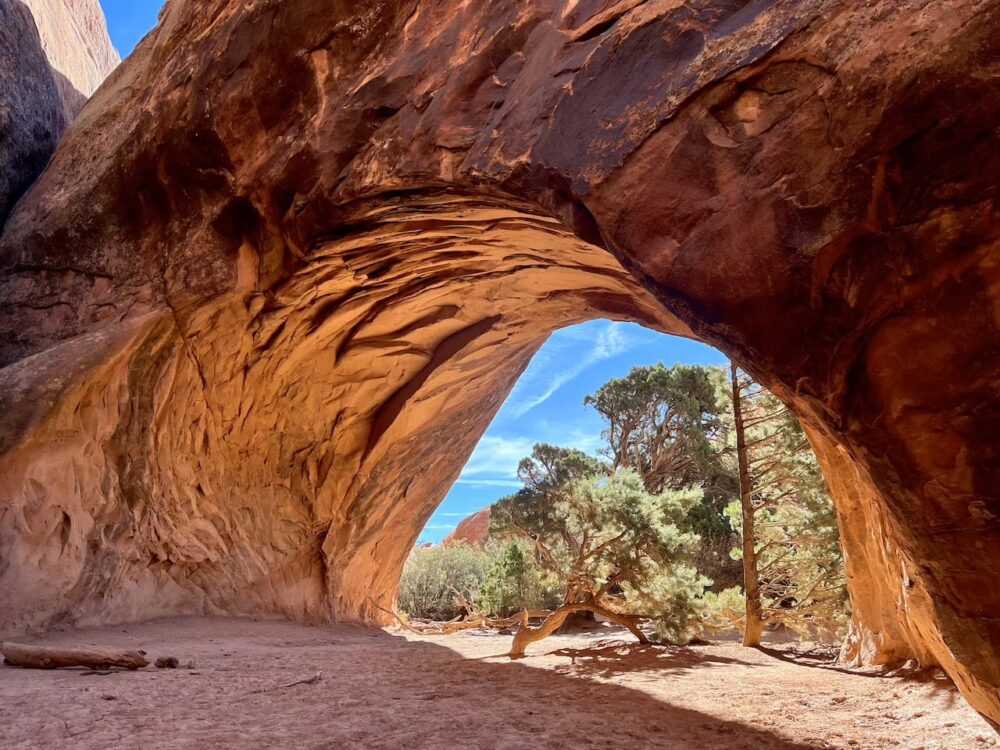 アメリカ　ロードトリップ　世界一周　夫婦　旅　バックパッカー　　横断