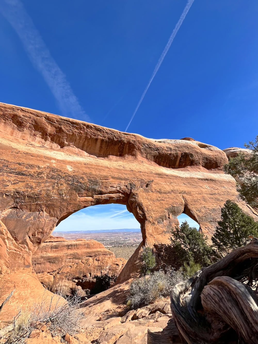 アメリカ　ロードトリップ　世界一周　夫婦　旅　バックパッカー　　横断