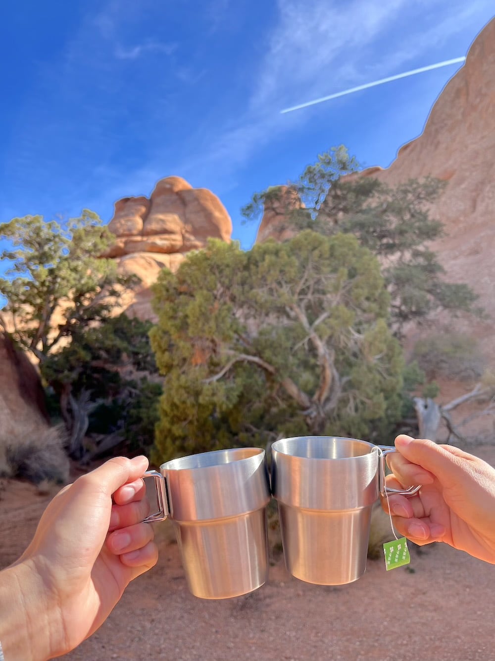 アメリカ　ロードトリップ　世界一周　夫婦　旅　バックパッカー　　横断