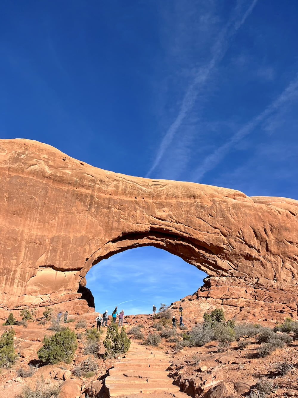 アメリカ　ロードトリップ　世界一周　夫婦　旅　バックパッカー　　横断