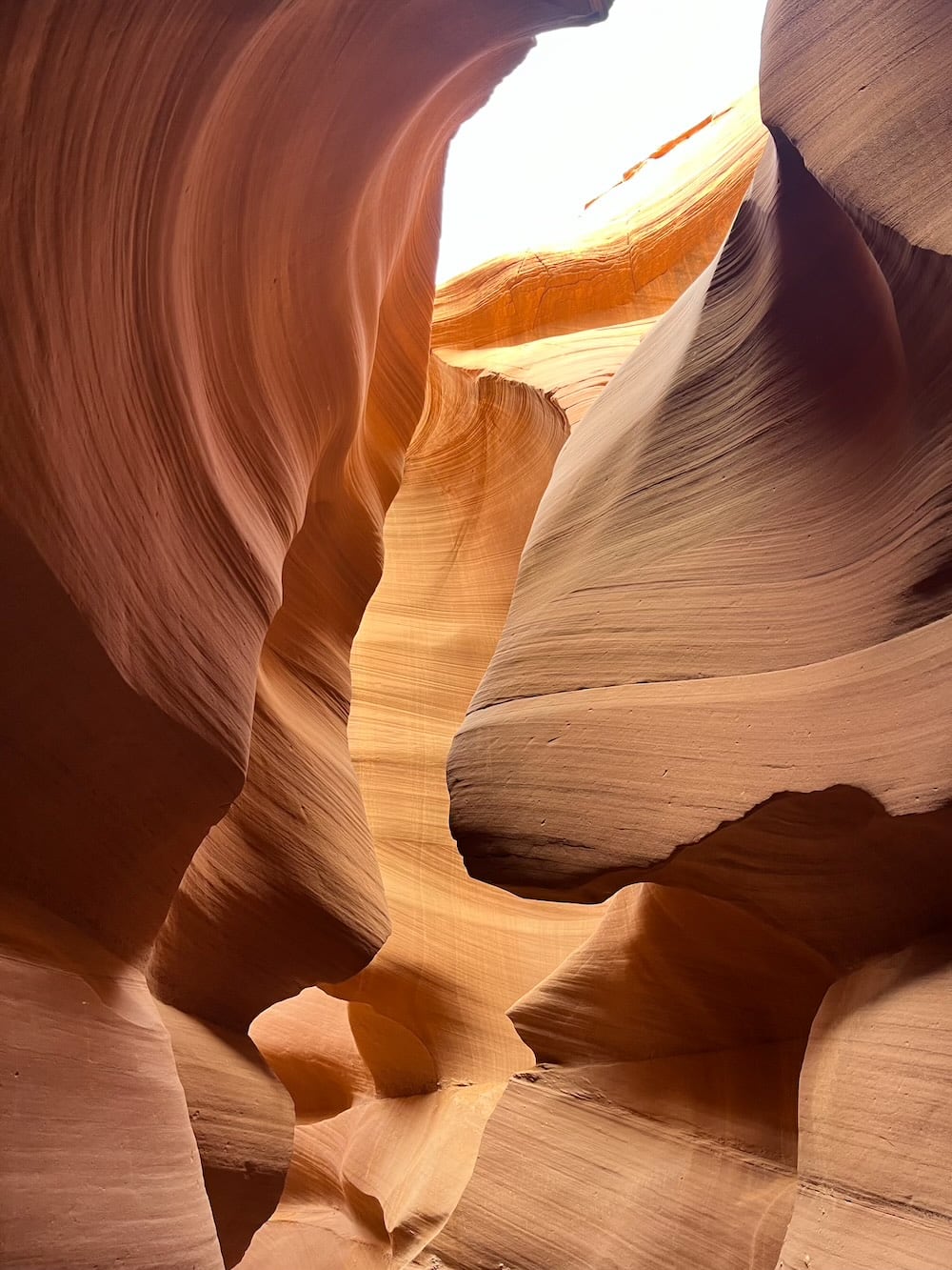 アメリカ　ロードトリップ　世界一周　夫婦　旅　バックパッカー　　横断