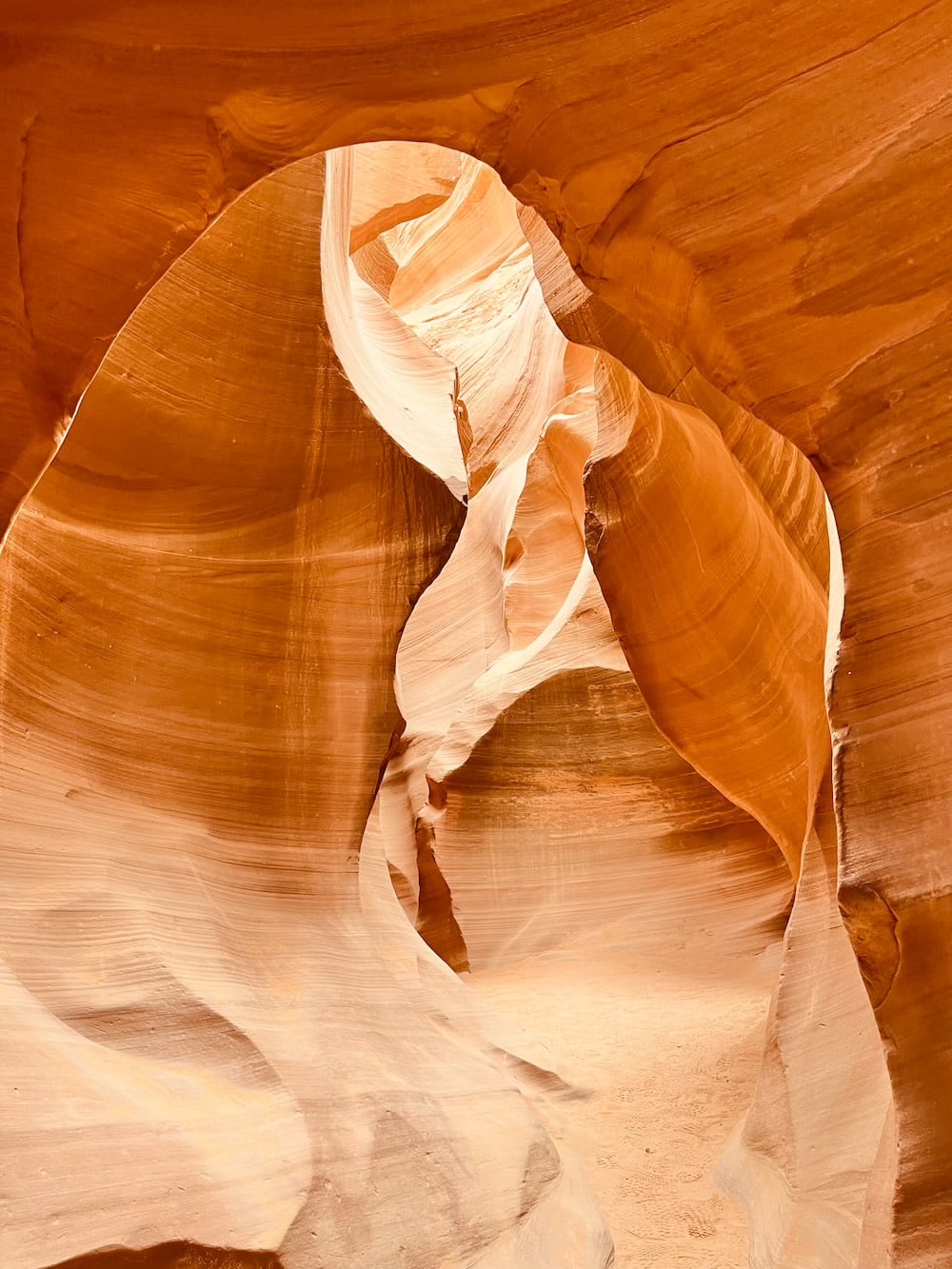 アメリカ　ロードトリップ　世界一周　夫婦　旅　バックパッカー　　横断