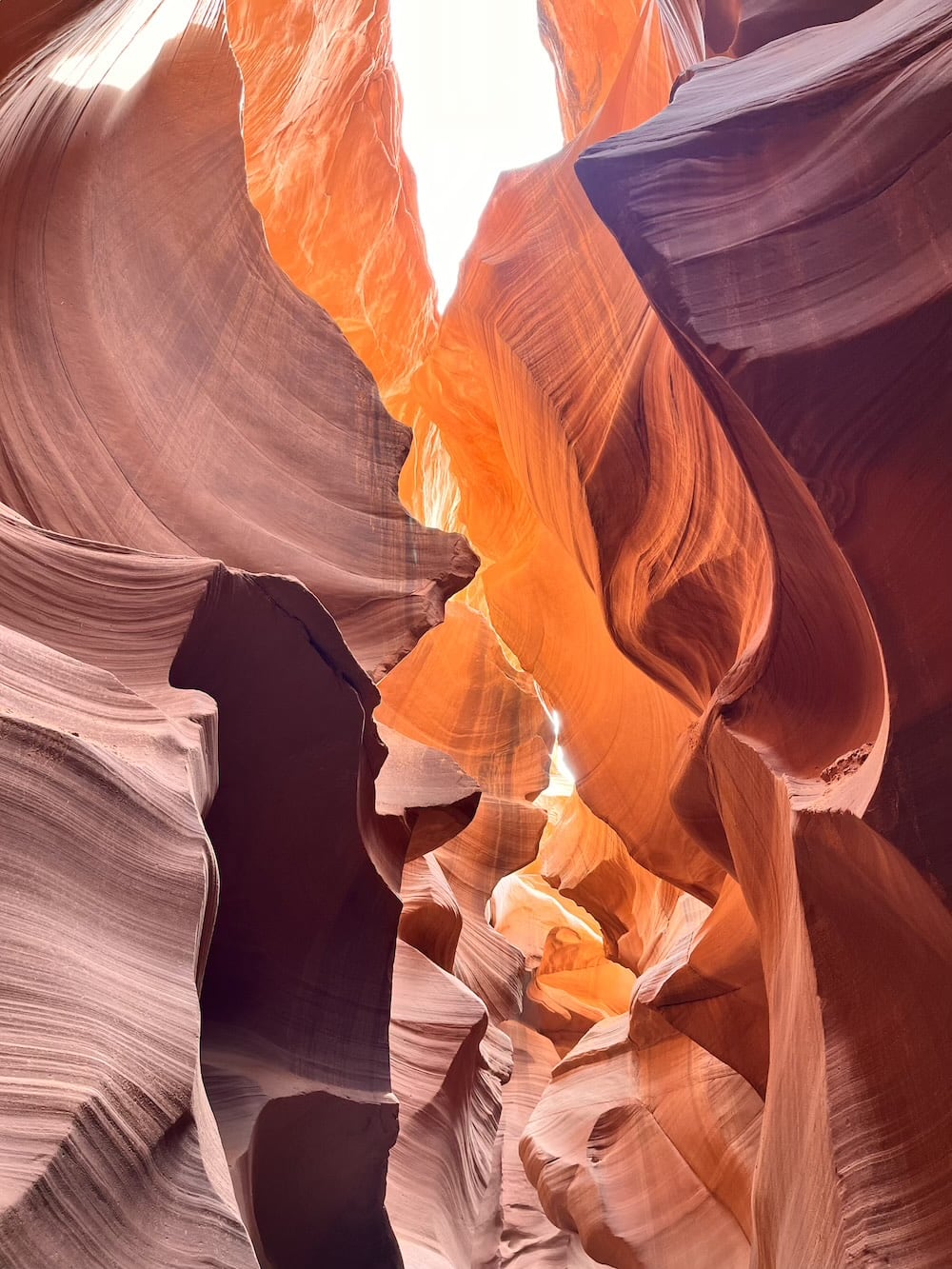 アメリカ　ロードトリップ　世界一周　夫婦　旅　バックパッカー　　横断