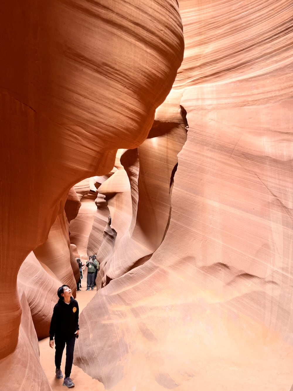 アメリカ　ロードトリップ　世界一周　夫婦　旅　バックパッカー　　横断