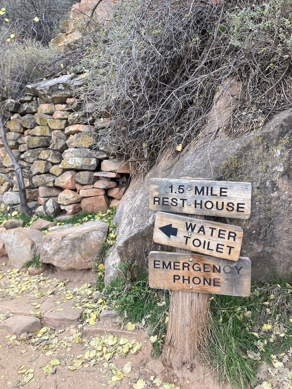 アメリカ　ロードトリップ　世界一周　夫婦　旅　バックパッカー　　横断