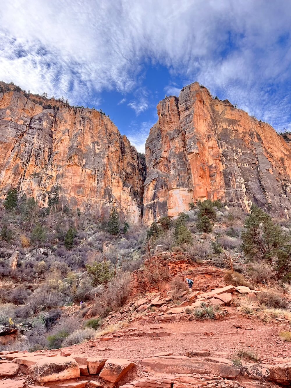 アメリカ　ロードトリップ　世界一周　夫婦　旅　バックパッカー　　横断