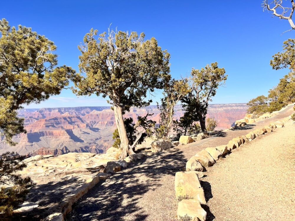 アメリカ　ロードトリップ　世界一周　夫婦　旅　バックパッカー　　横断
