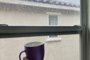 アメリカ ロードトリップ 世界一周 夫婦 旅 バックパッカー 横断