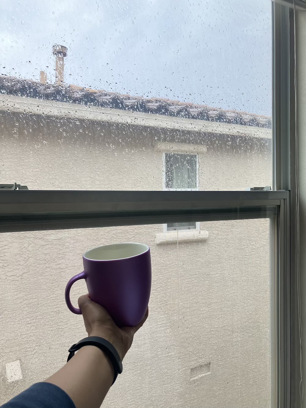 アメリカ　ロードトリップ　世界一周　夫婦　旅　バックパッカー　　横断