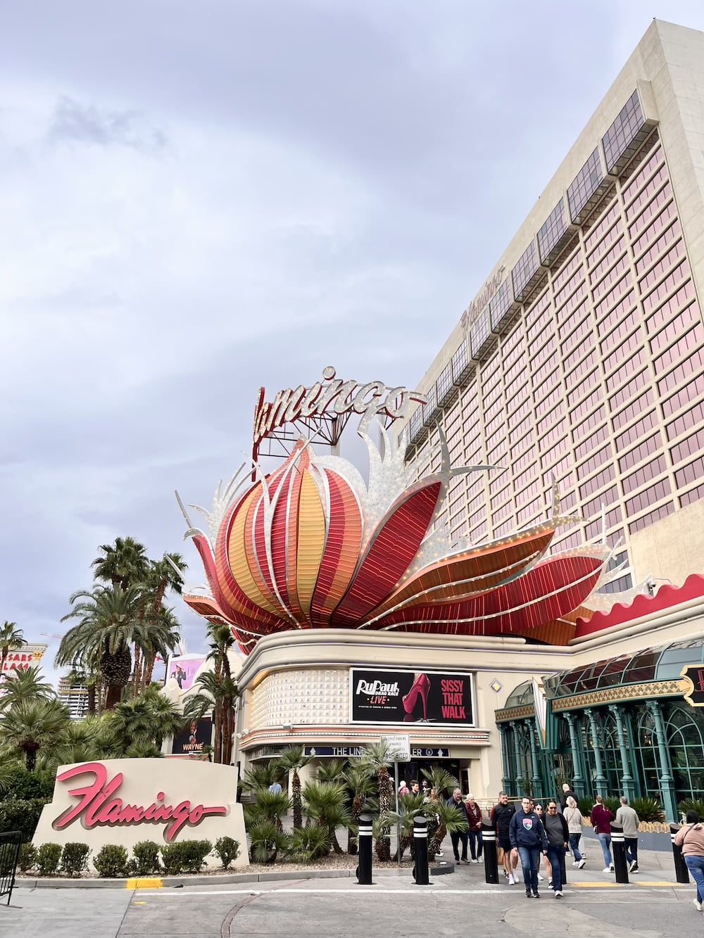 アメリカ　ロードトリップ　世界一周　夫婦　旅　バックパッカー　　横断