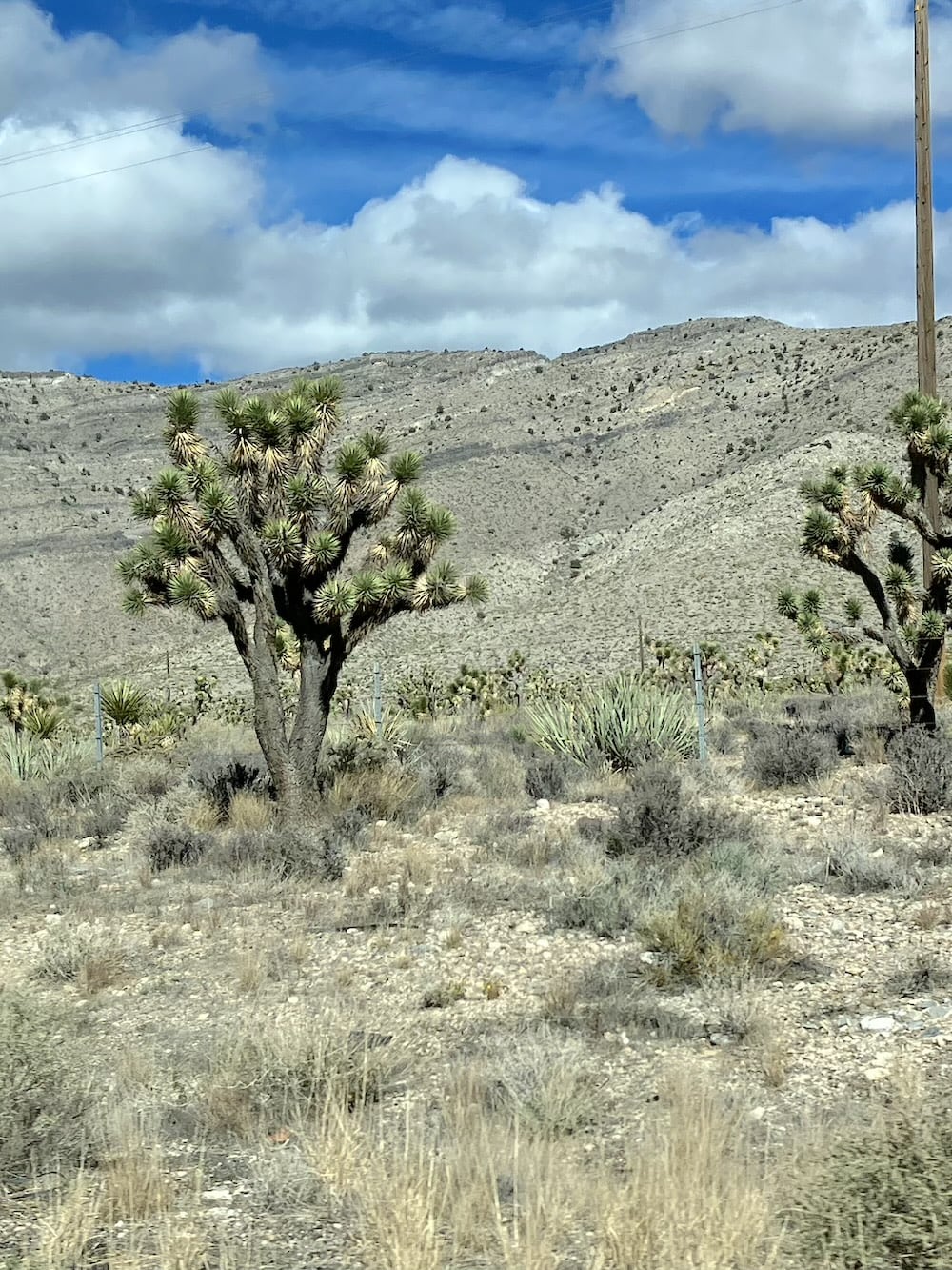 アメリカ　ロードトリップ　世界一周　夫婦　旅　バックパッカー　　横断