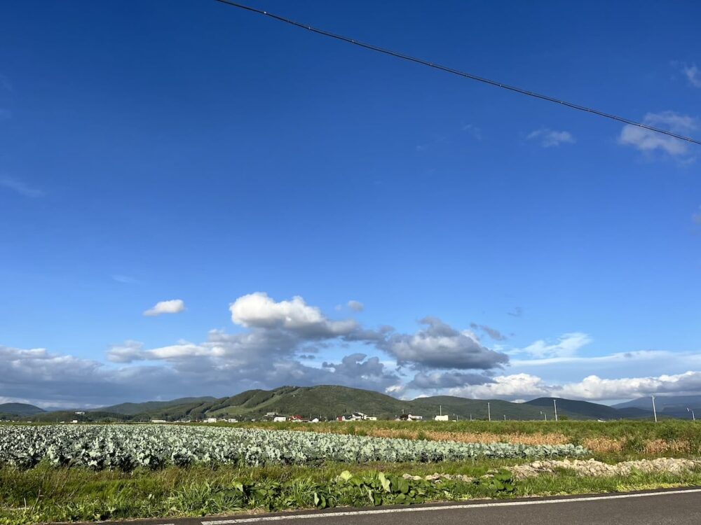 世界一周　その後　移住