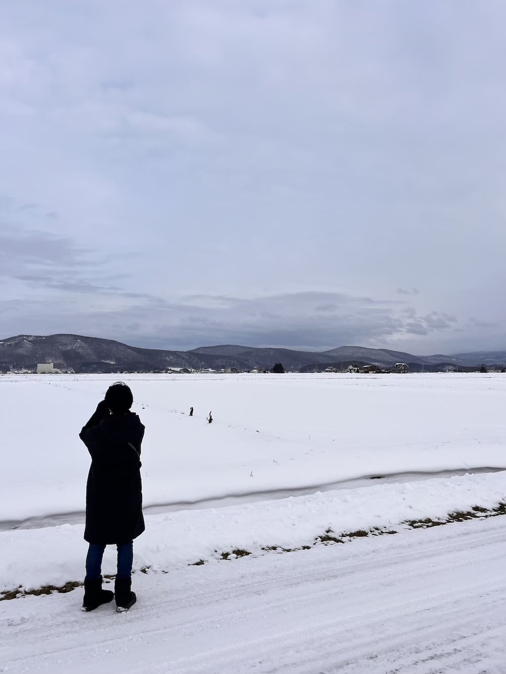 世界一周　その後　移住