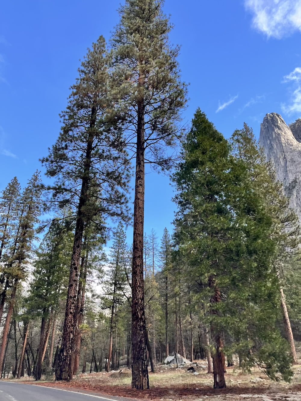 アメリカ ロードトリップ 世界一周 夫婦 旅 バックパッカー 横断