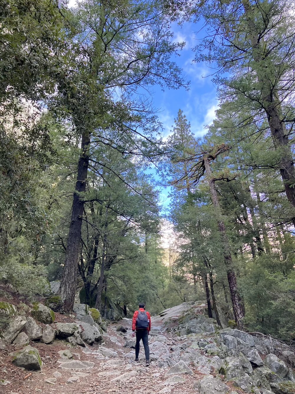 アメリカ ロードトリップ 世界一周 夫婦 旅 バックパッカー 横断